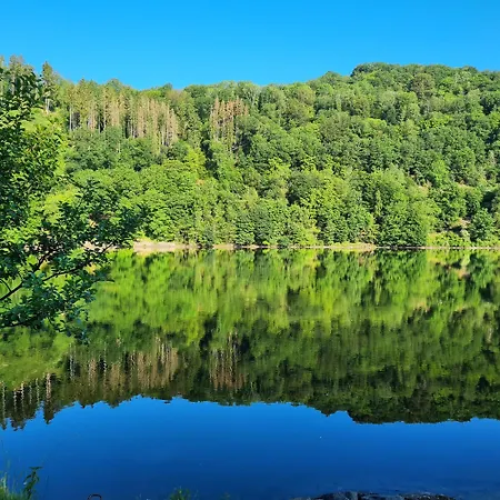 Am Rursee -wohnung 2