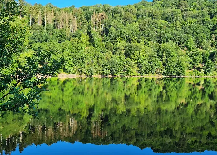 Am Rursee -wohnung 2